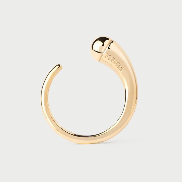 Anillo Loop
