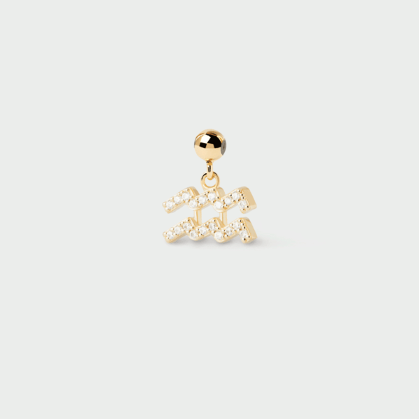 Charm Zoadiaco Acuario
