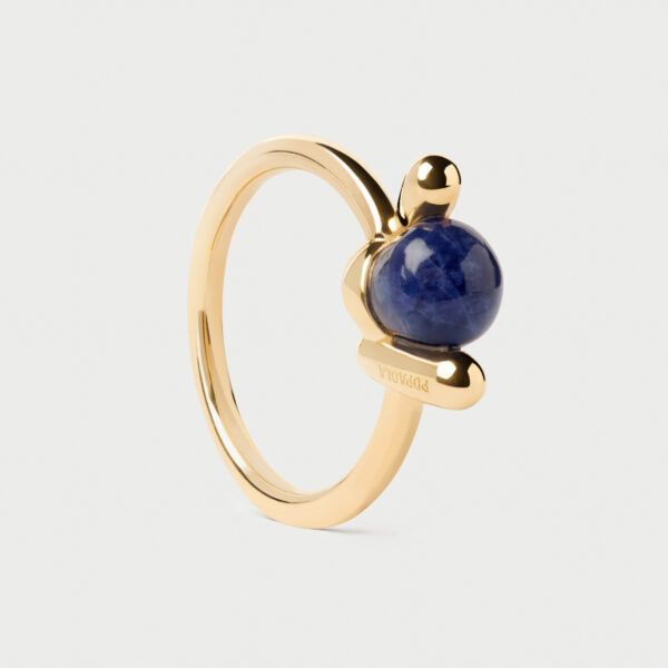 Anillo Sodalita Nexus