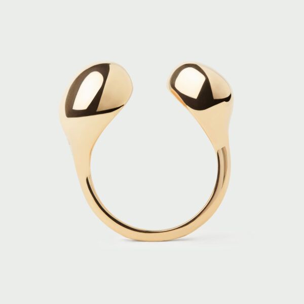 Anillo Gravity