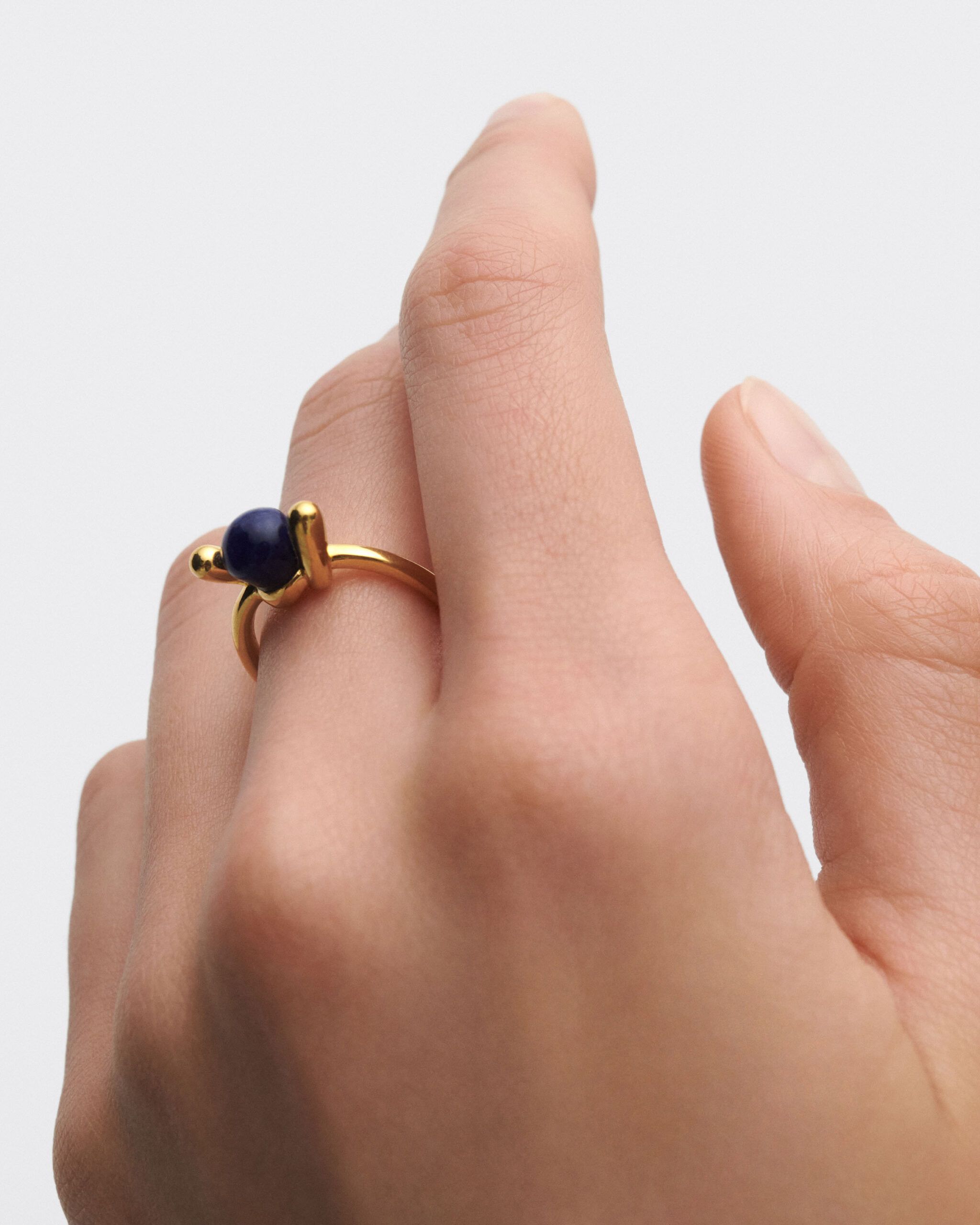 Anillo Sodalita Nexus - Imagen 5
