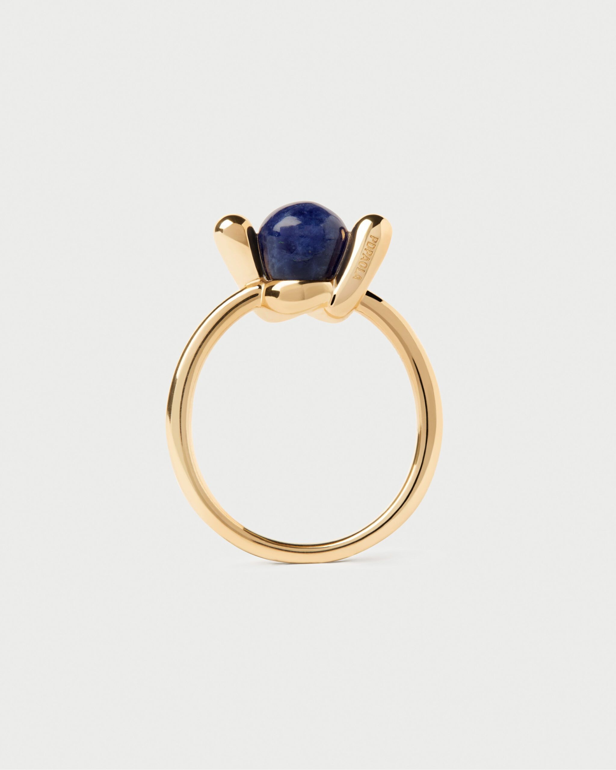 Anillo Sodalita Nexus - Imagen 3