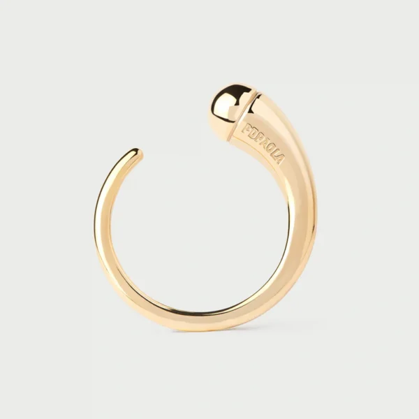 Anillo Loop
