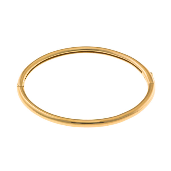 Pulsera Rígida Plata Chapada