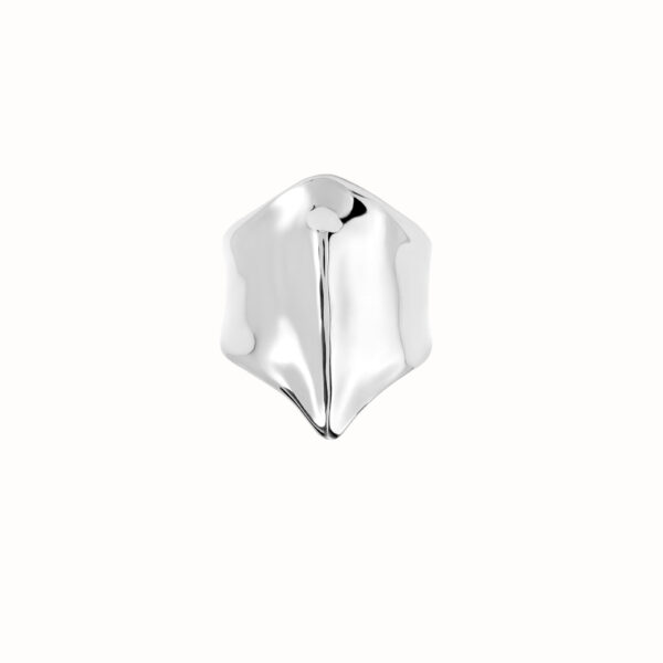 Anillo Mantarraya