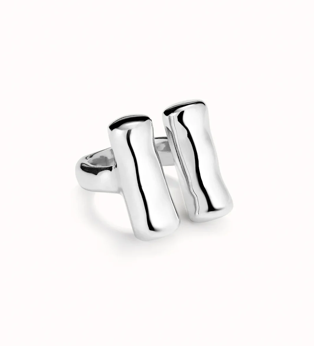 Anillo Tubos Verticales