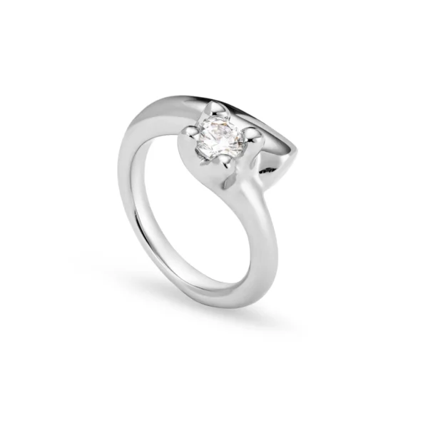 Anillo Spiritual