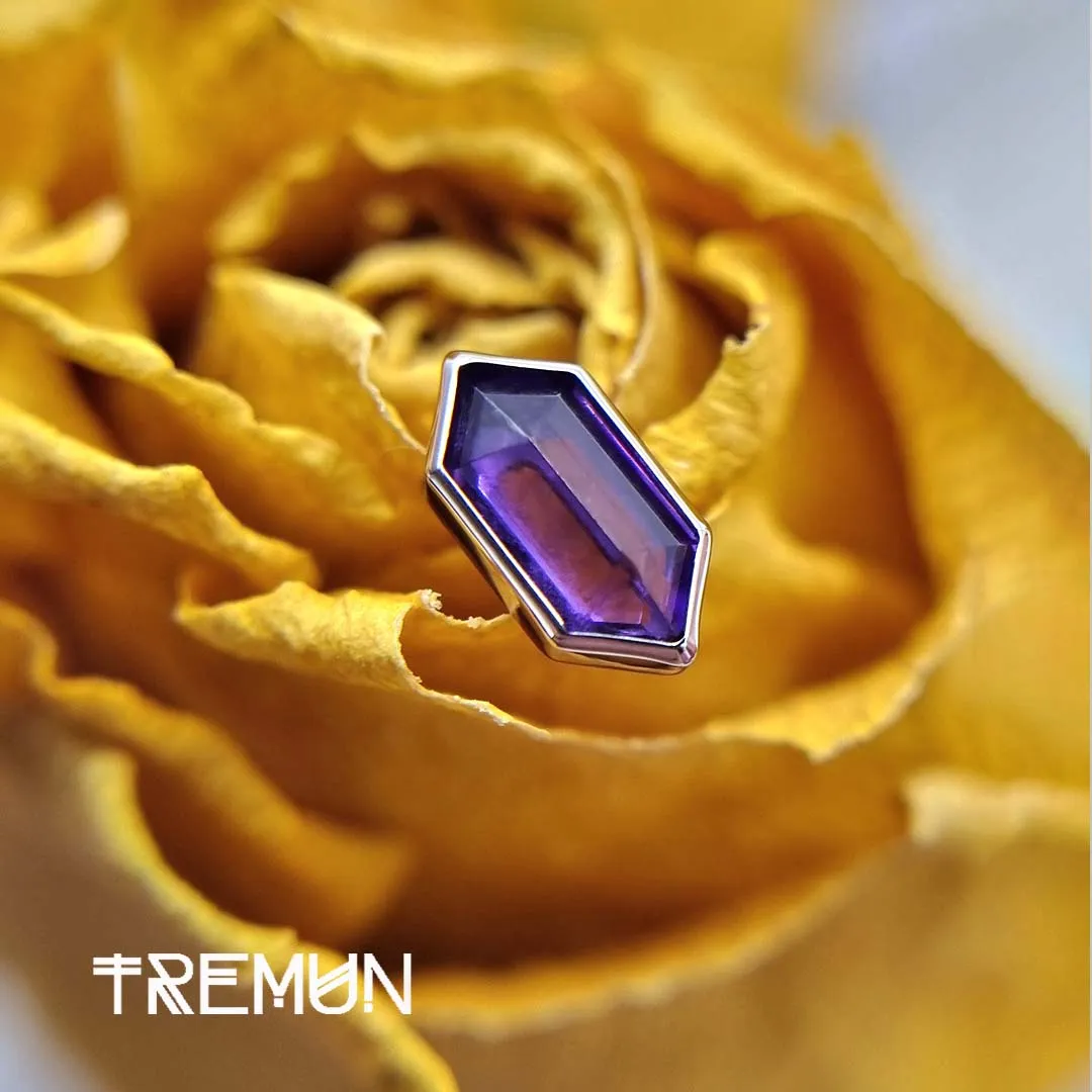Karen Amethyst - Piercing de Titanio F-136 - Imagen 2