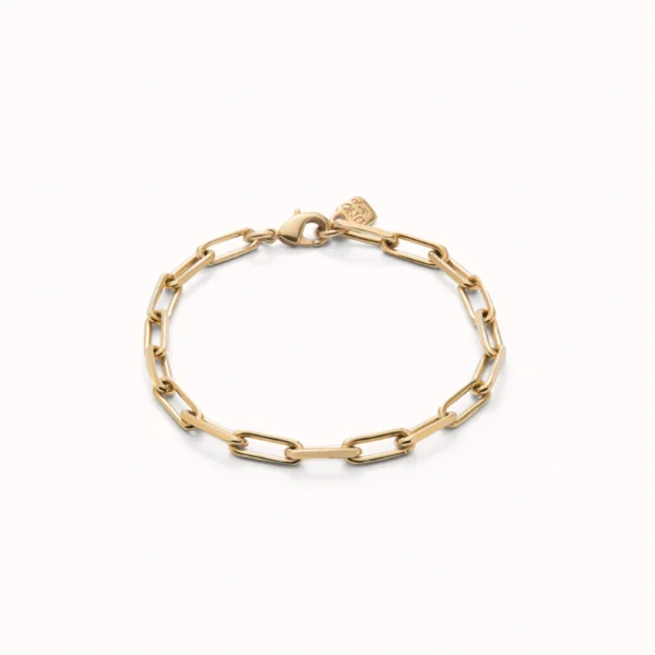 Pulsera de Eslabones