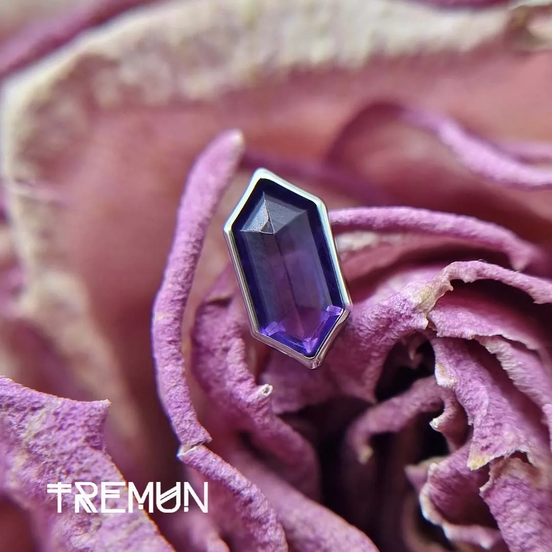 Karen Amethyst - Piercing de Titanio F-136 - Imagen 4